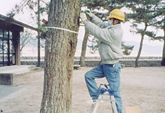 3．松くい虫・病害虫防除